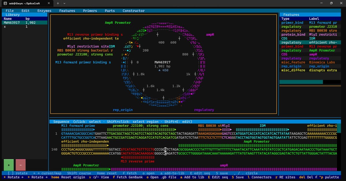 Sebastian S. Cocioba🪄🌷 tweet media