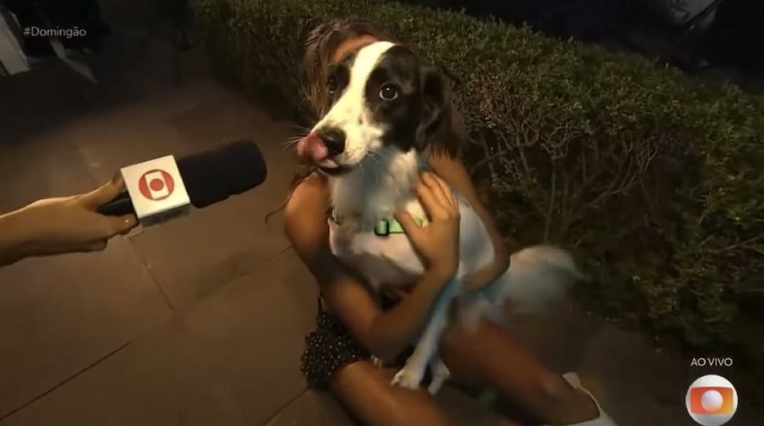 TV Globo 📺 tweet media