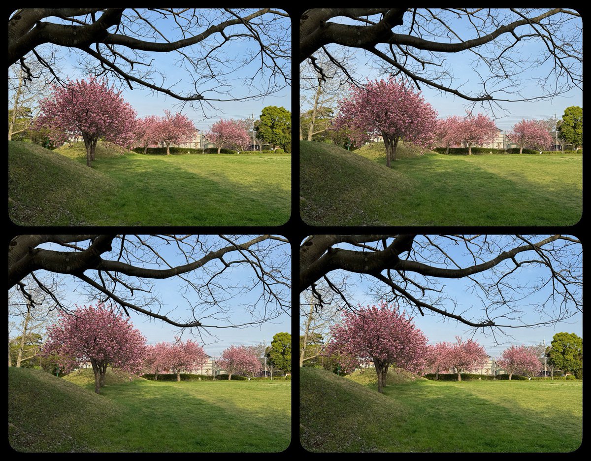 むっちゃん tweet media