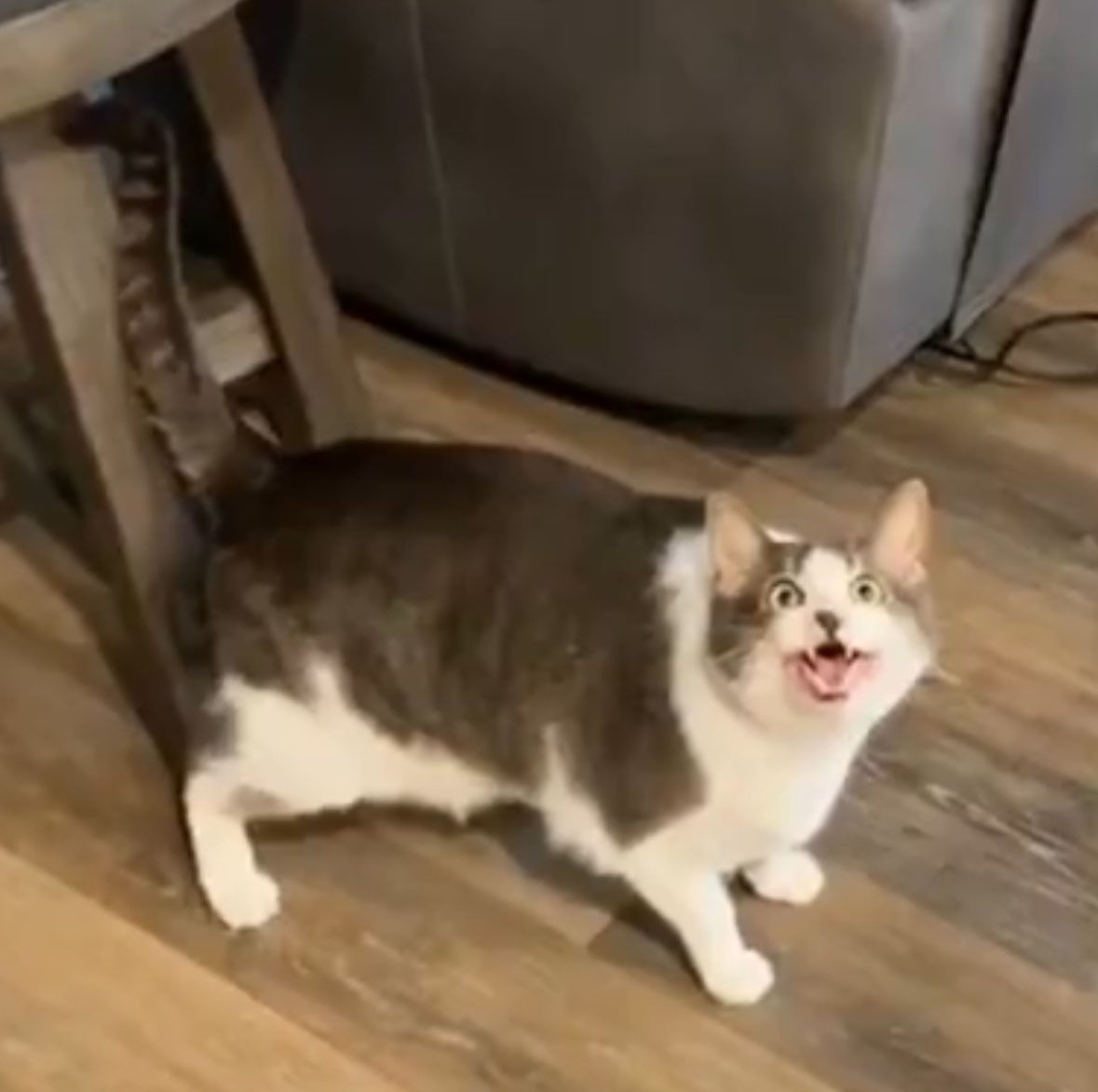 Johnacos tweet media