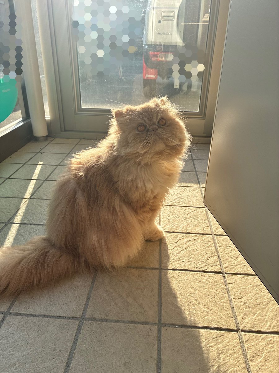 ムック tweet media