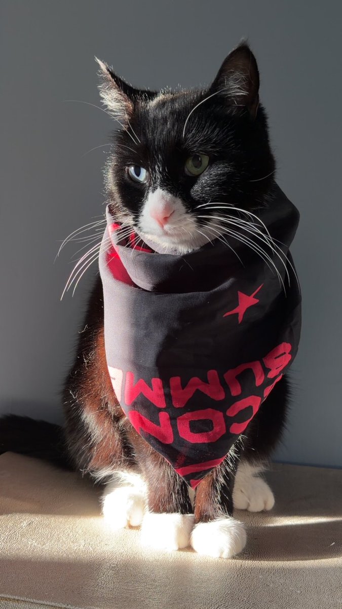 holly ⋆🪩 tweet media