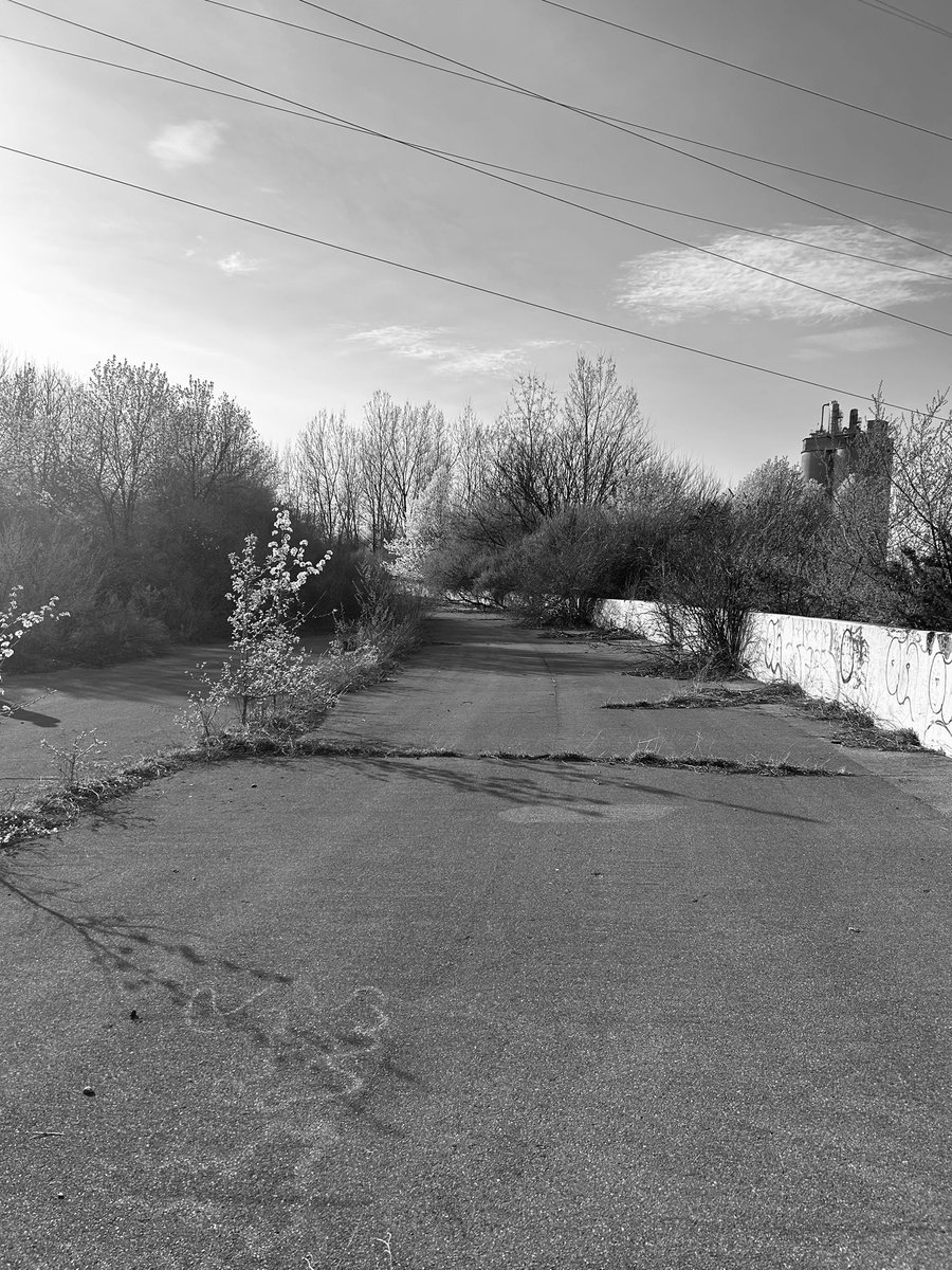 Sage Karam tweet media