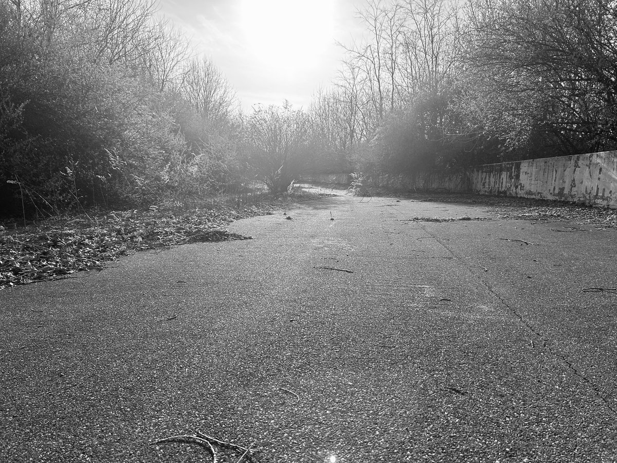 Sage Karam tweet media