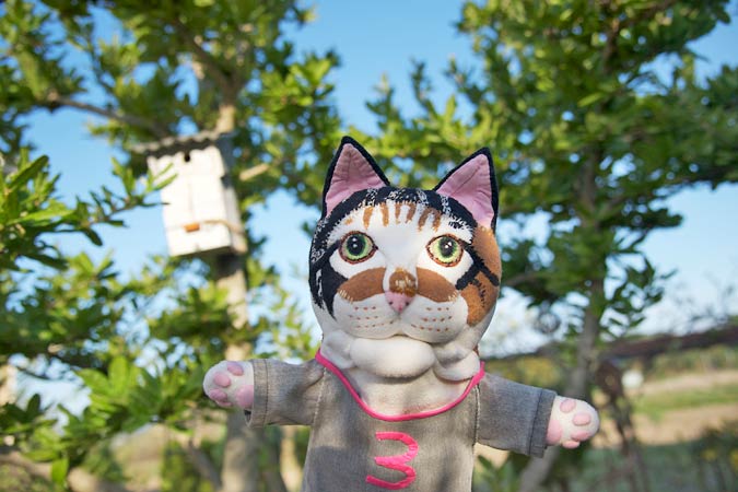 和猫 tweet media