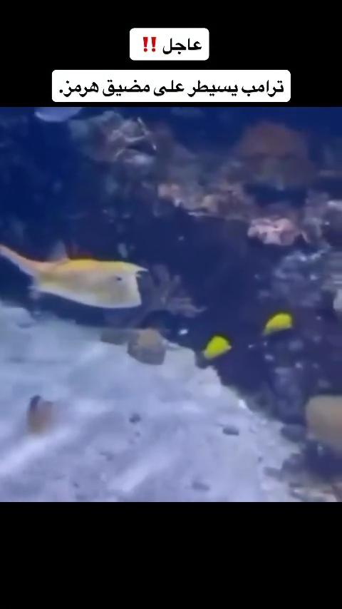 𓆩 ˹ 🇾🇪 || 𝗦𝗜𝗥𝗗𝗔𝗕˼ 𓆪 tweet media