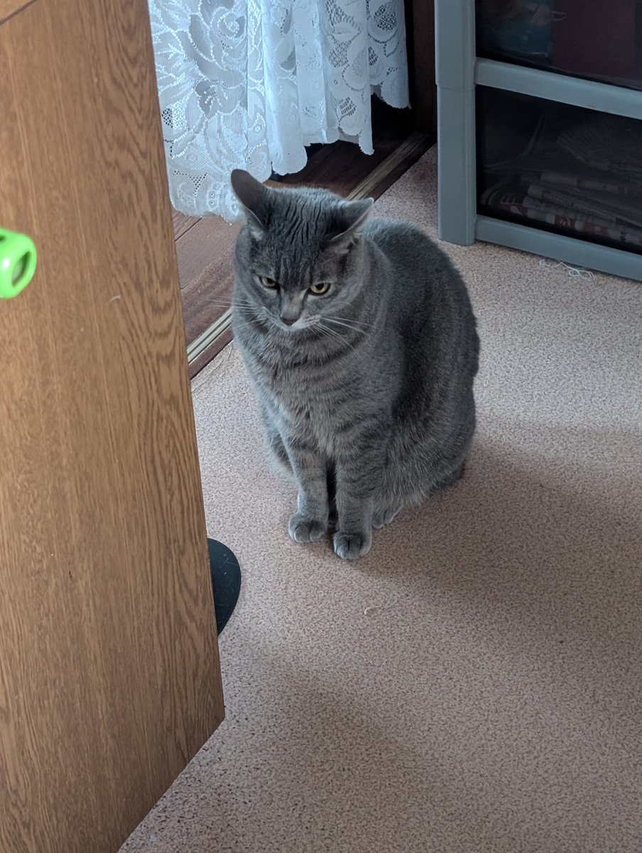 負傷中チョロ松氏 tweet media