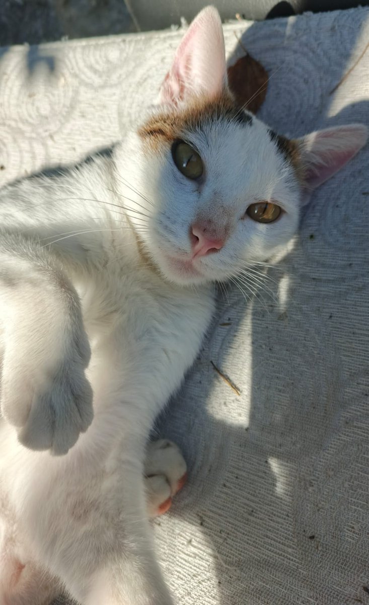 𝄞Kath𝄢 tweet media