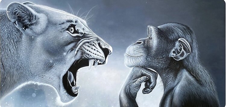 Scored 92 tweet media