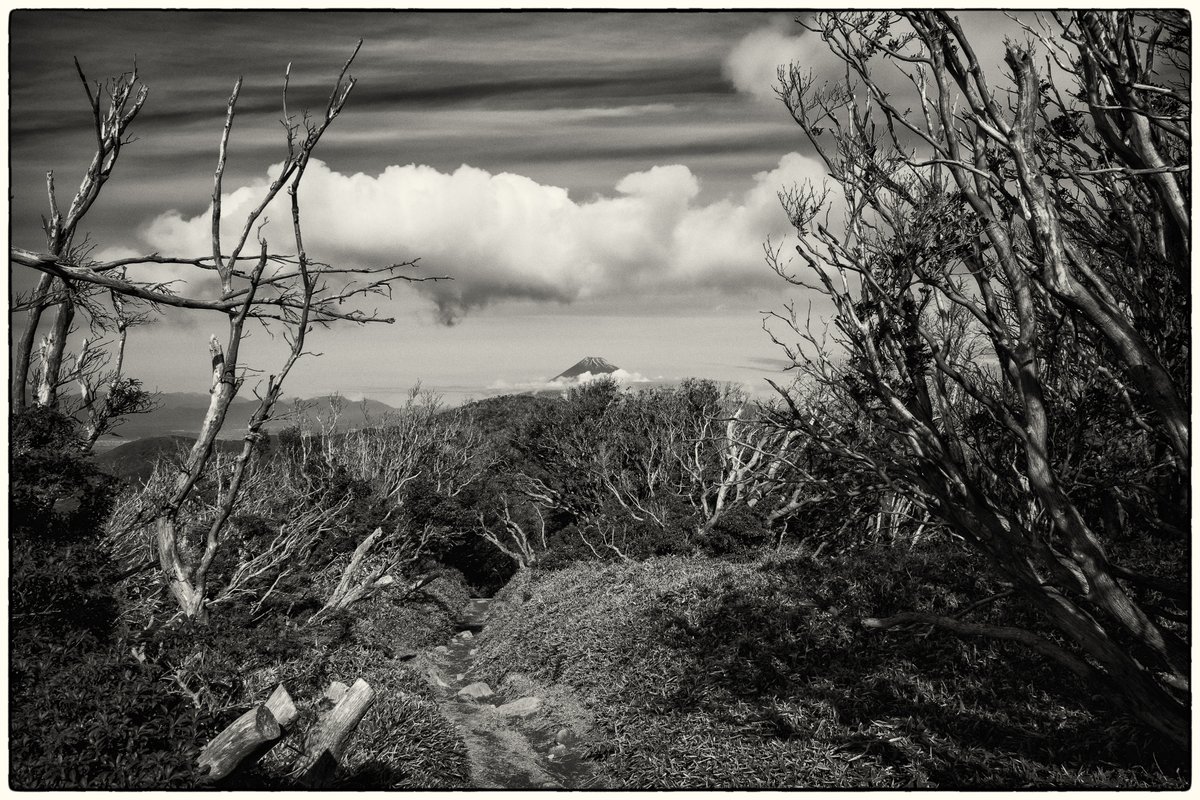 富士見道

Sony α7RV
Sigma 20-200mm
Silver Efex Pro 2