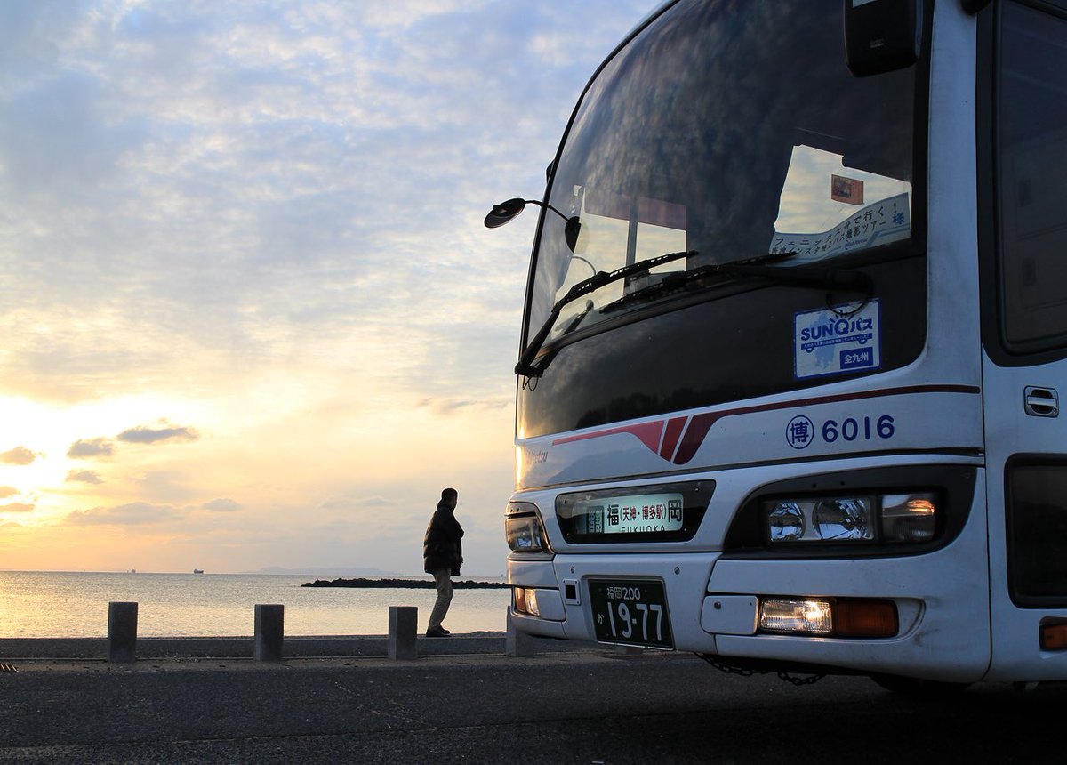 ひろプロ tweet media