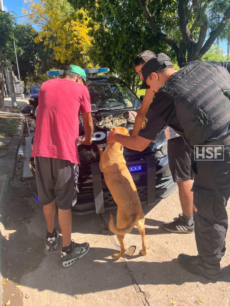 Humanos de Santa Fe tweet media