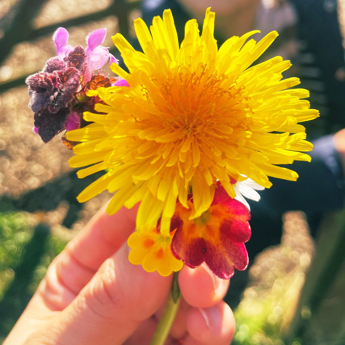 AYANA | webデザイナー tweet media