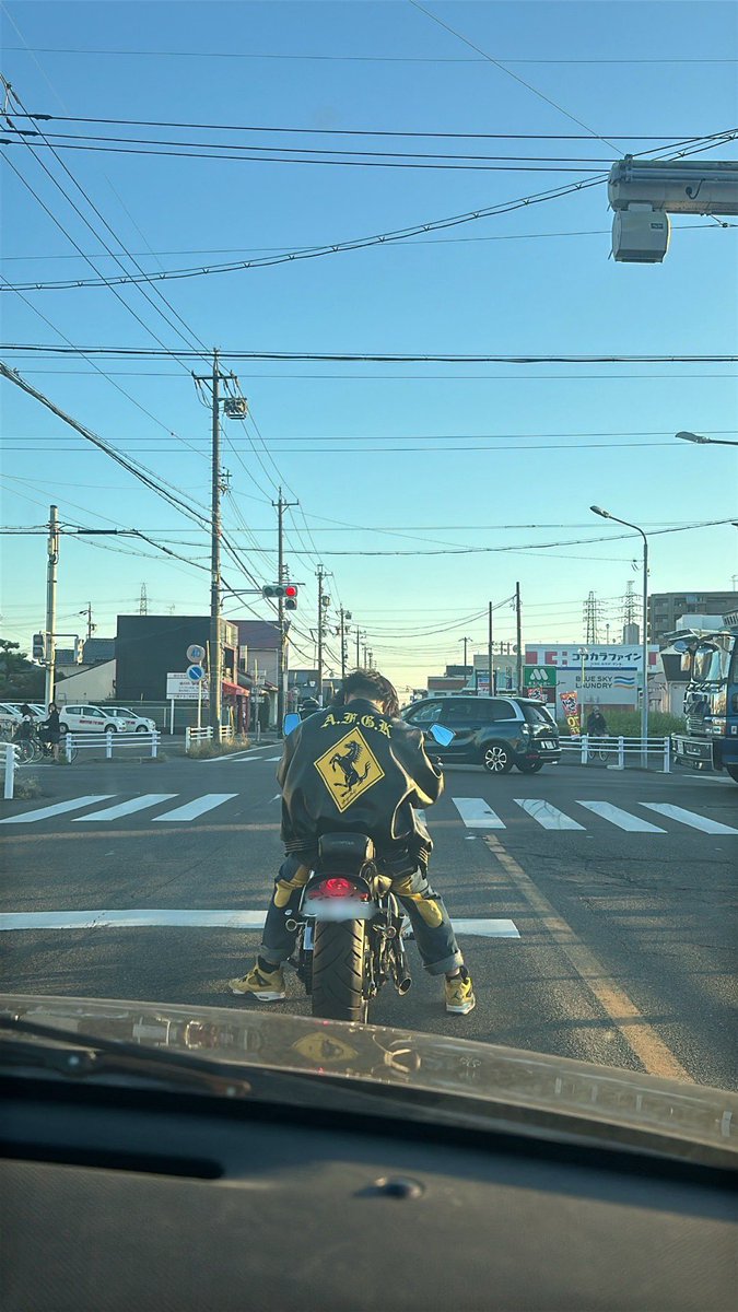 サモエド tweet media