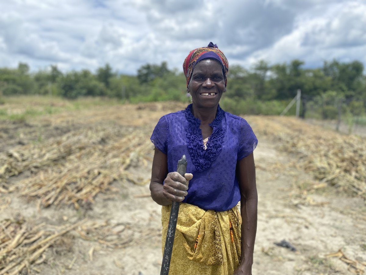 zet_uk's tweet image. We met with Kemukaka Women’s Group managing farming plots linked to the Kemuka Primary school. Income from crop sales is helping them pay school fees, support their households, and reinvest into future harvests.
#BuildingResilience at both household and community level.