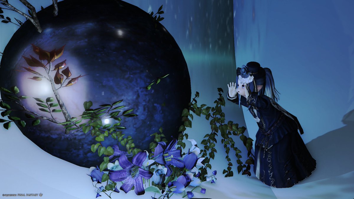 きゆるん(*‘ω‘ *)FF14/Aegis tweet media