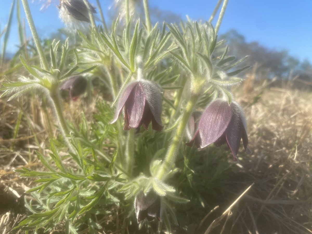 ๆนใคใฟใใๅชไธญใ tweet media