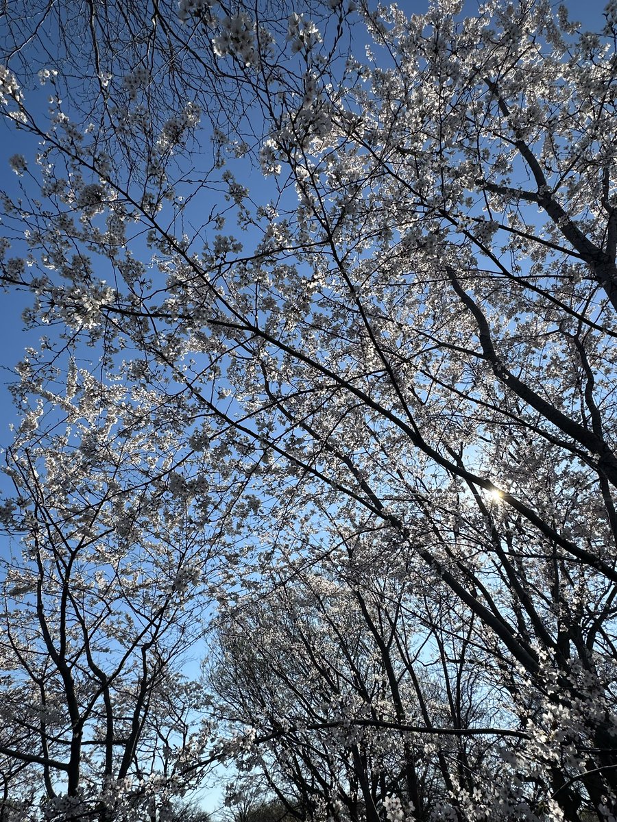 Mr. nahimjustplayin’ tweet media