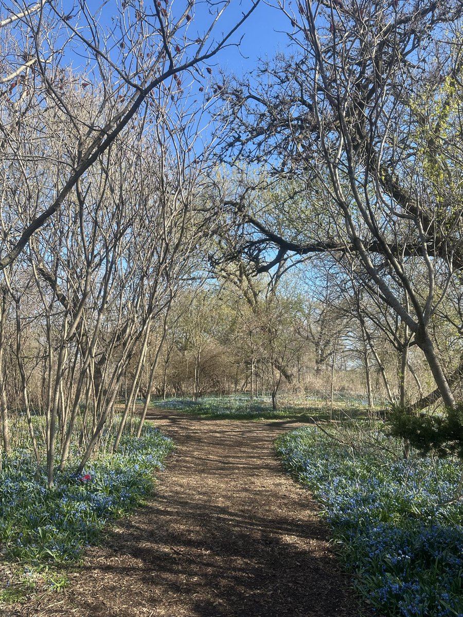 Mr. nahimjustplayin’ tweet media