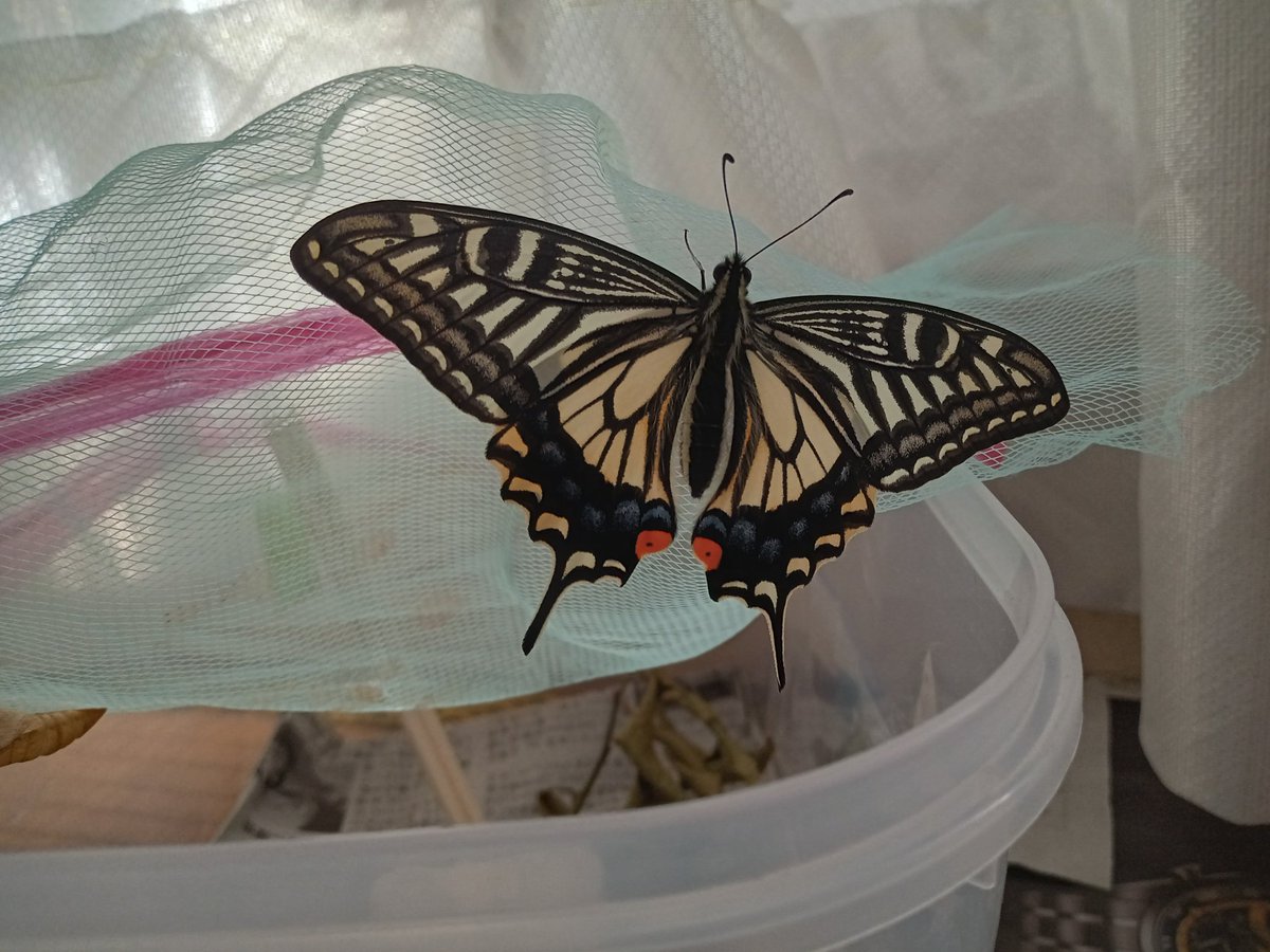 hareerah1111 tweet media