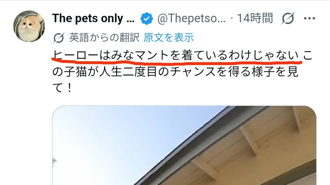 Irman Nason tweet media