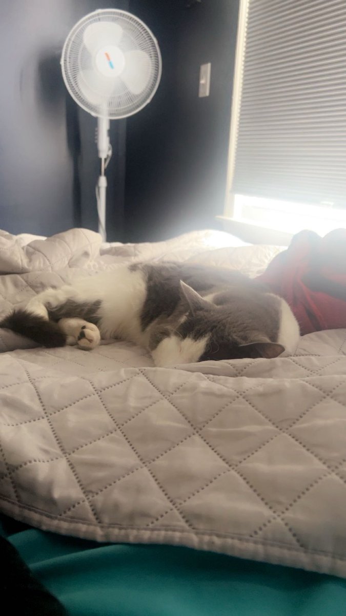 sunday morning in the house with this little one.