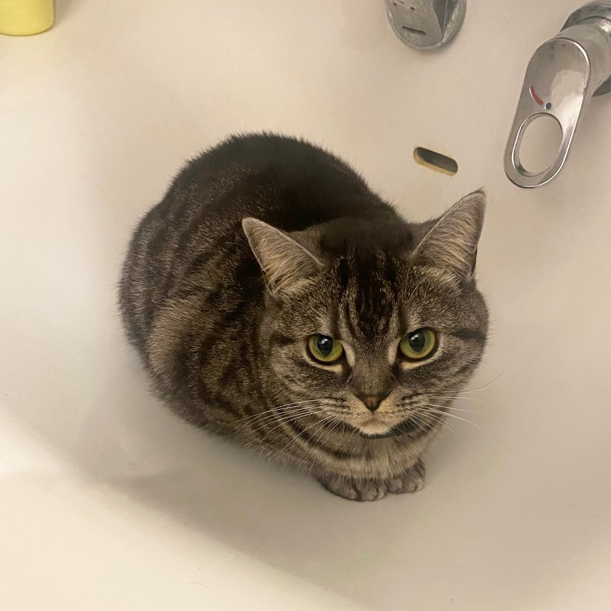 編集やまみ tweet media