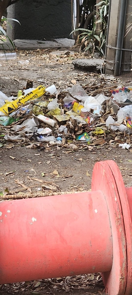 peopleofdrones's tweet photo. Por favor, hacer algo con la basura que se encuentra a la altura de Avenida Cuauhtémoc 1225, en frente de la construcción que sufrió un incendio hace poco. Lleva más de dos meses y no hay servicio de limpieza que pase a recoger esa basura.  @BJAlcaldia @AccionesBJ https://t.co/w2b07yJb3q