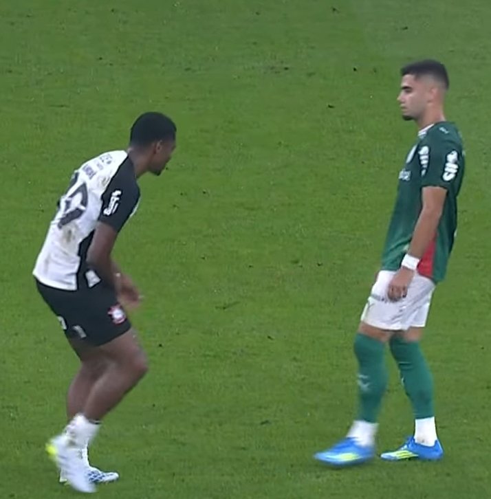 Palmeiras memes🐷💚 tweet media