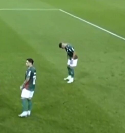 Palmeiras memes🐷💚 tweet media