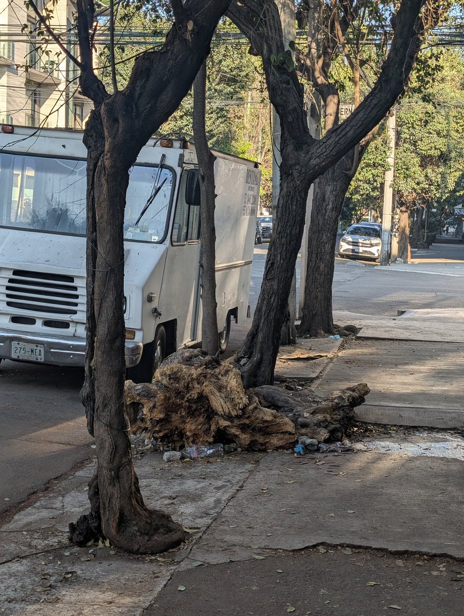 Eduardo Espinosa Cravioto tweet media