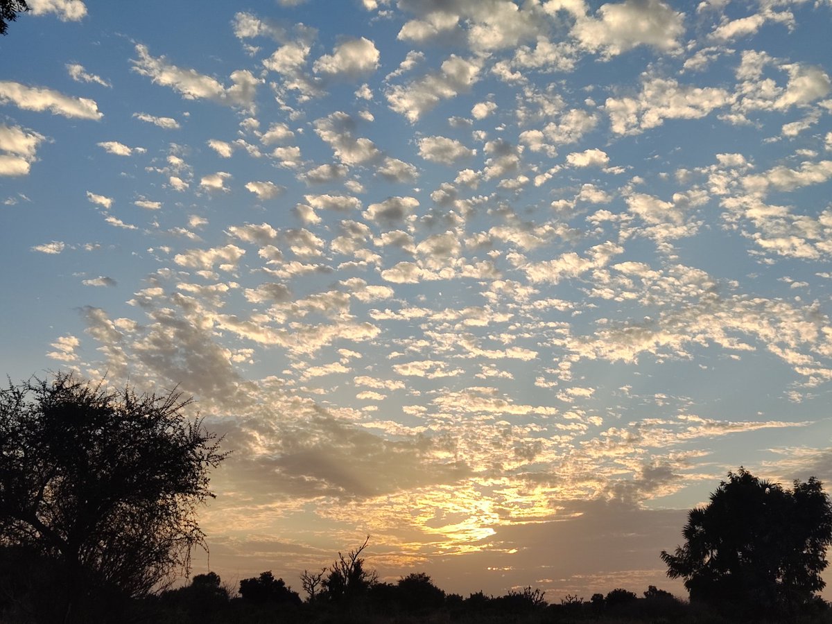 🅱️Tech | Web3 🌐 tweet media