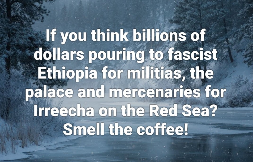 LemlemTigest's tweet image. If you think #billions #pouring to #fascist #Ethiopia for #militias, the #palace and #mercenaries for #Irreecha on the #Red #Sea? #Smell the #coffee!