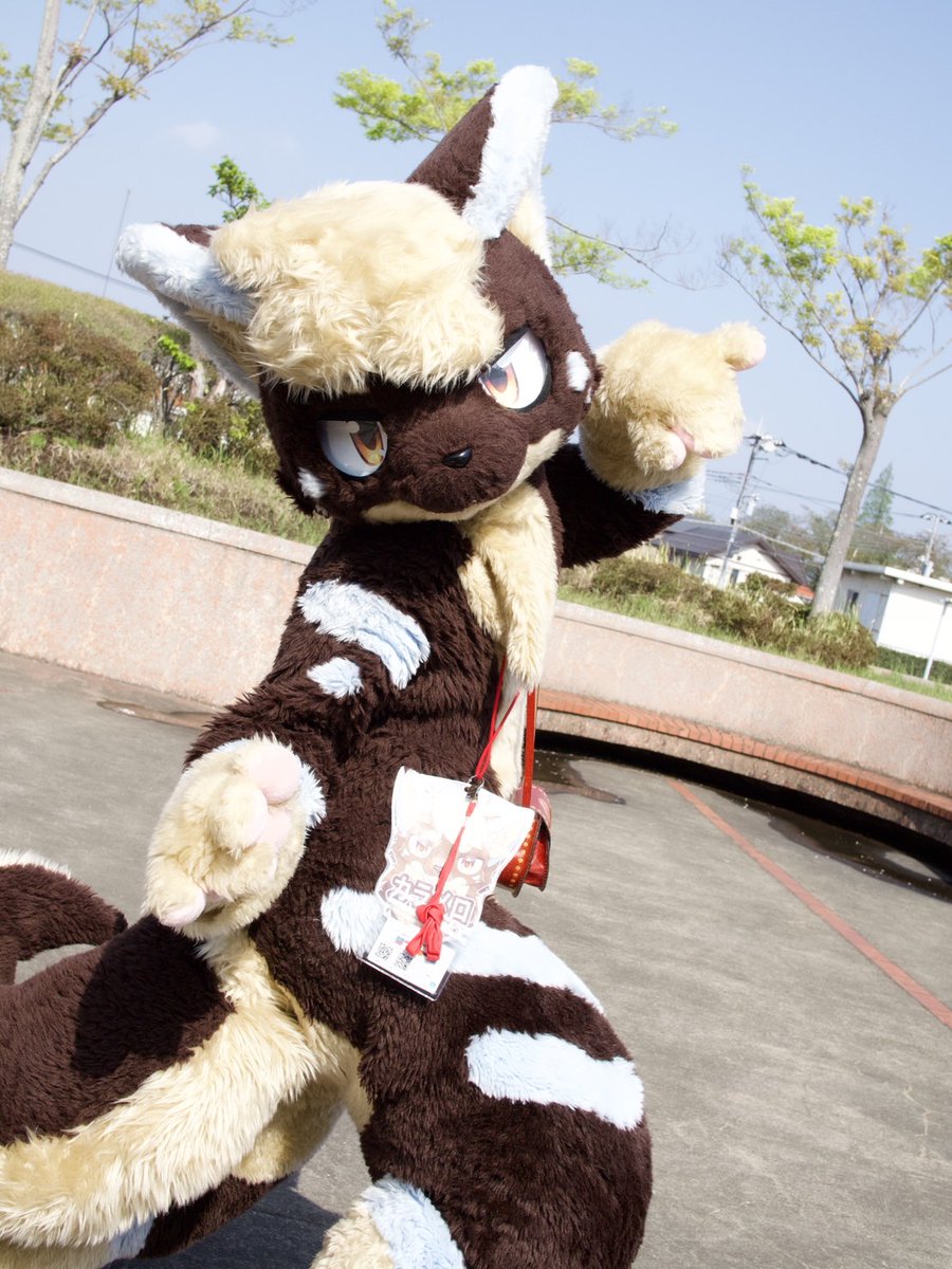 とらきち tweet media