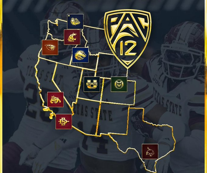 GO DOGS GO! tweet media