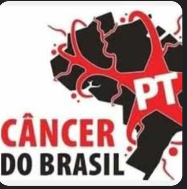 Fernando tweet media