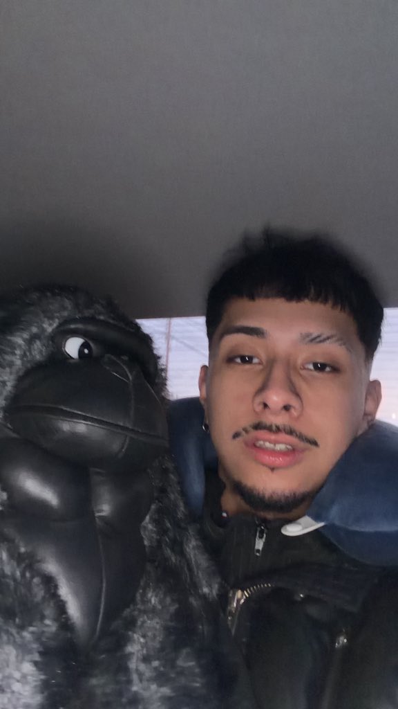 🦍⭐️