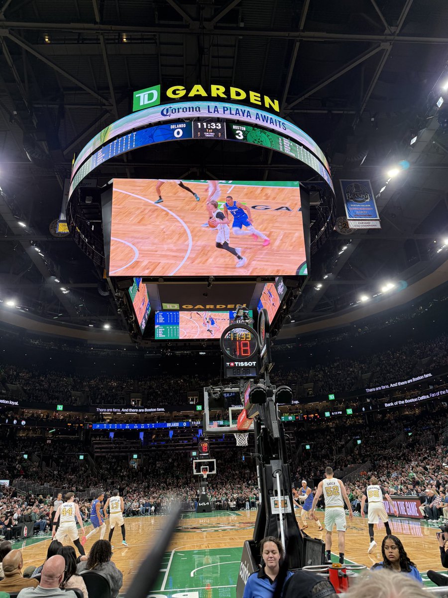 Last game of the season and the jungle is on fire!🔥☝️☘️💚💯