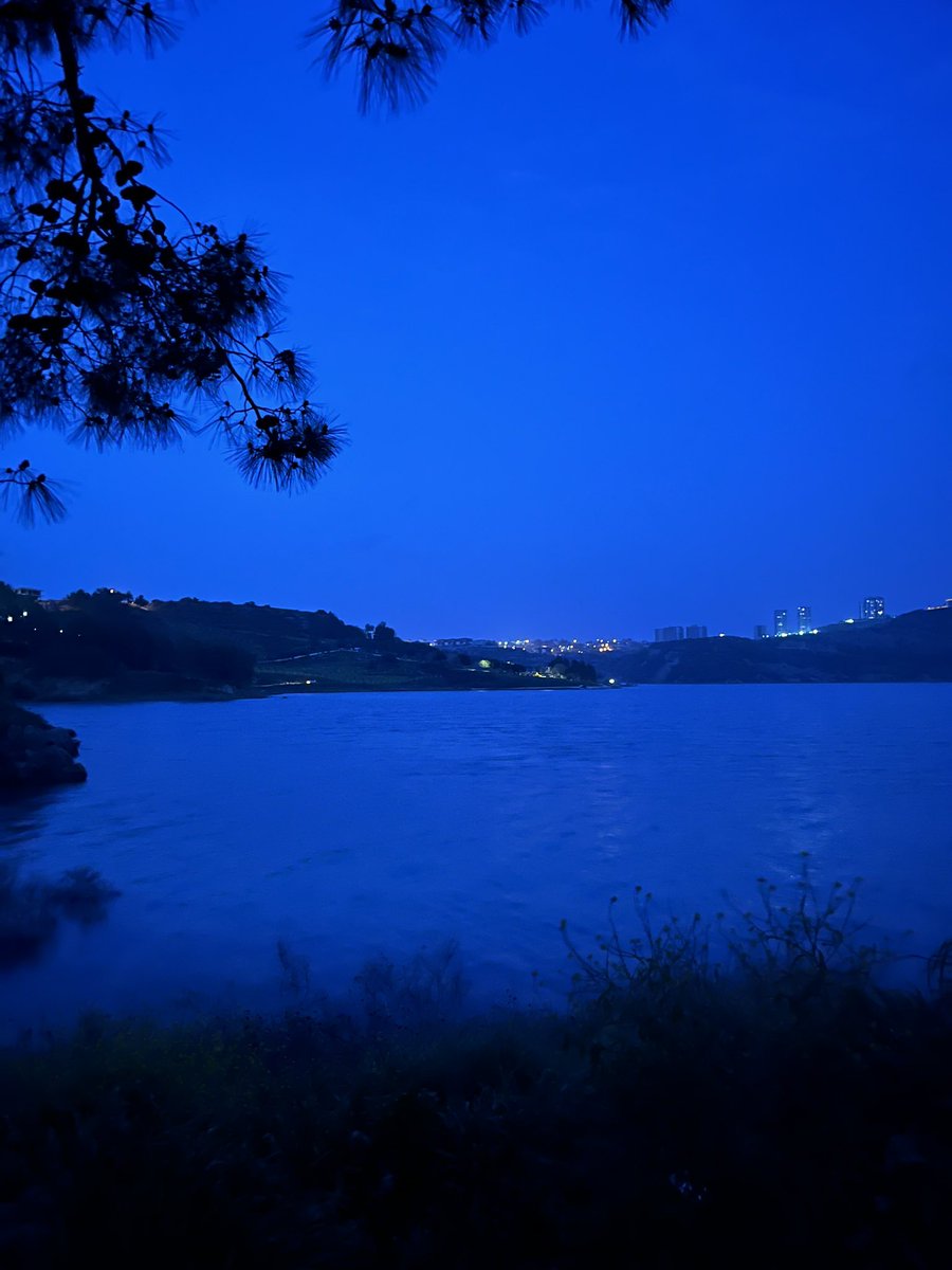 Knight World tweet media