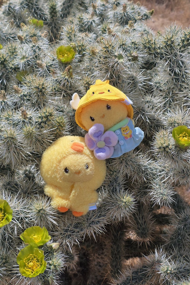 노랑나비 tweet media