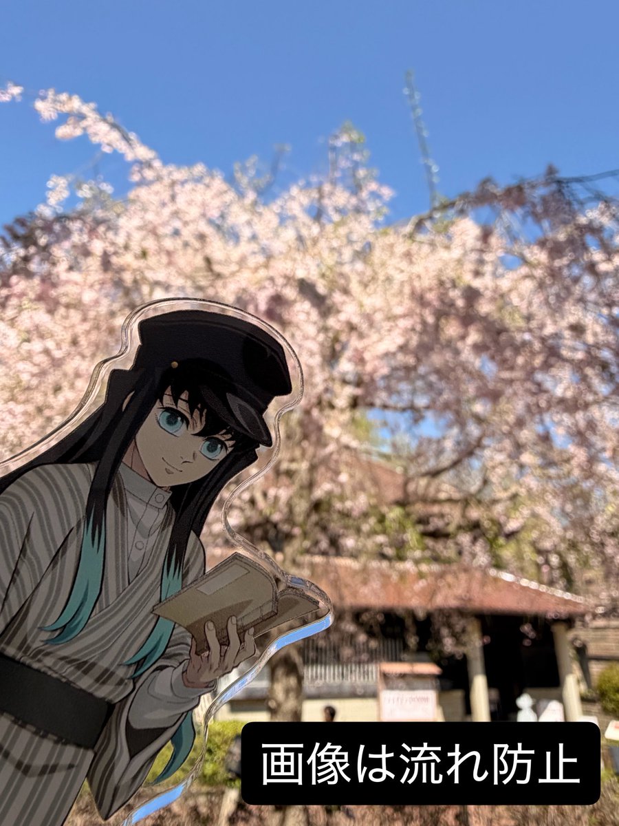 ちさ@初回固定ツイ必読 tweet media