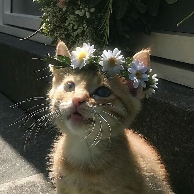 Lee_hee7🧡 tweet media