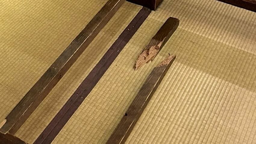 NHKはクソ

国の重要文化財に指定されている香川県琴平町の金丸座の一部を、NHKが撮影中に破損

NHKが撮影中に金丸座（国の重要文化財）の一部を破損　撮影者が花道から客席に転落し升席の仕切りが壊れた【香川】 | 岡山・香川のニュース | 天気 | RSK山陽放送 (1ページ) newsdig.tbs.co.jp/articles/rsk/1…