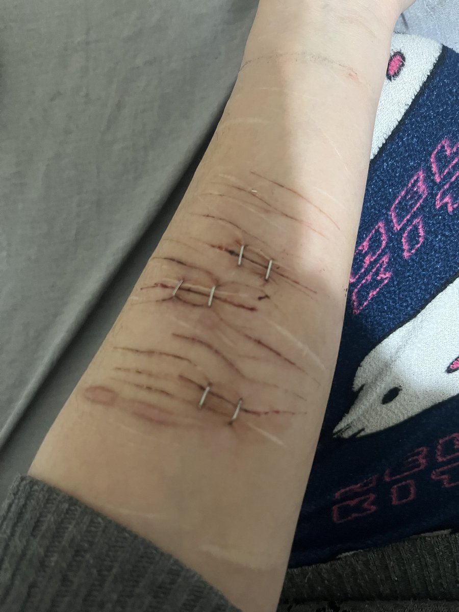 Neko_chan_0w0's tweet image. :3 #shtwt #shedtwt #cutspo