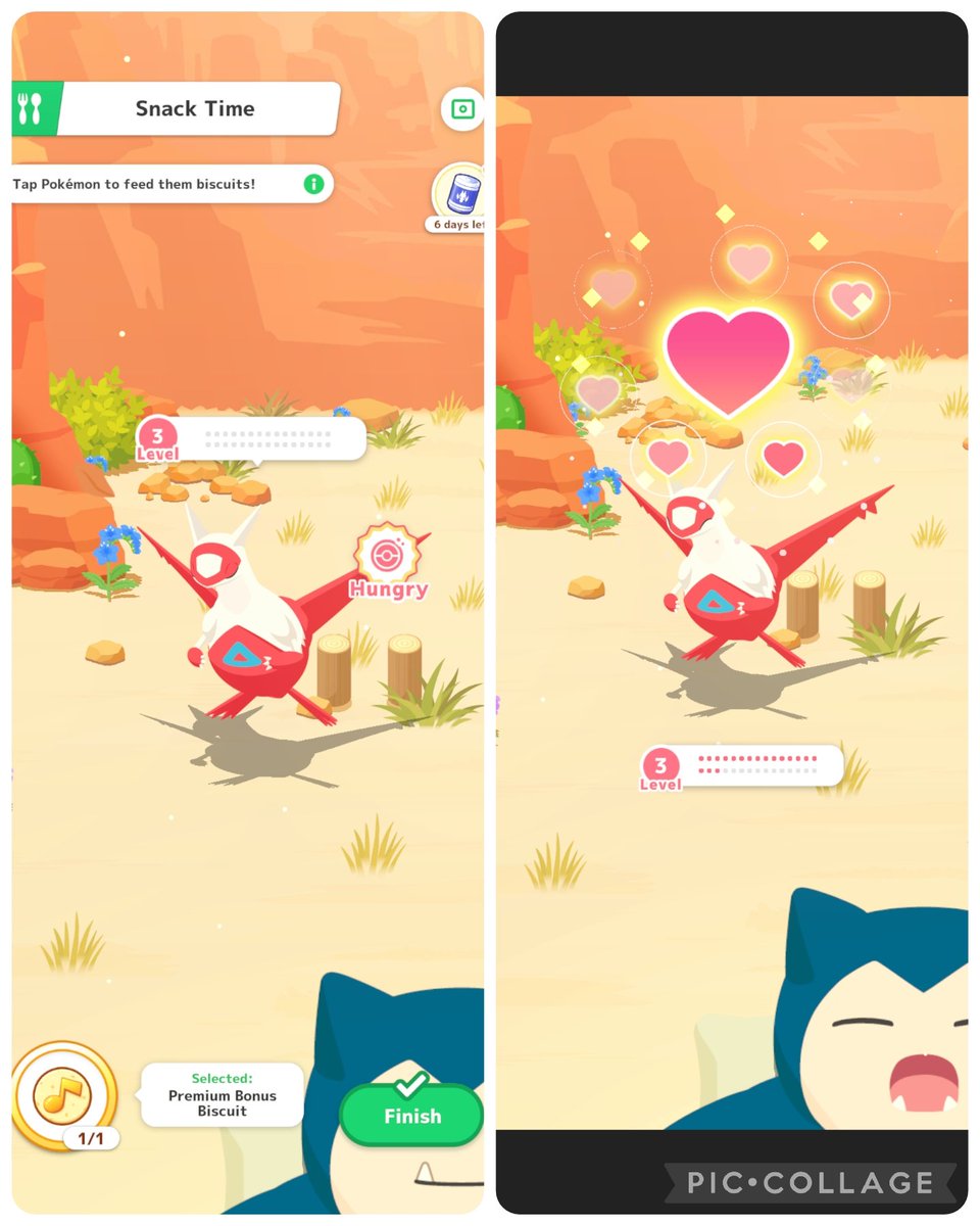 アーノルド/ウォンバ tweet media