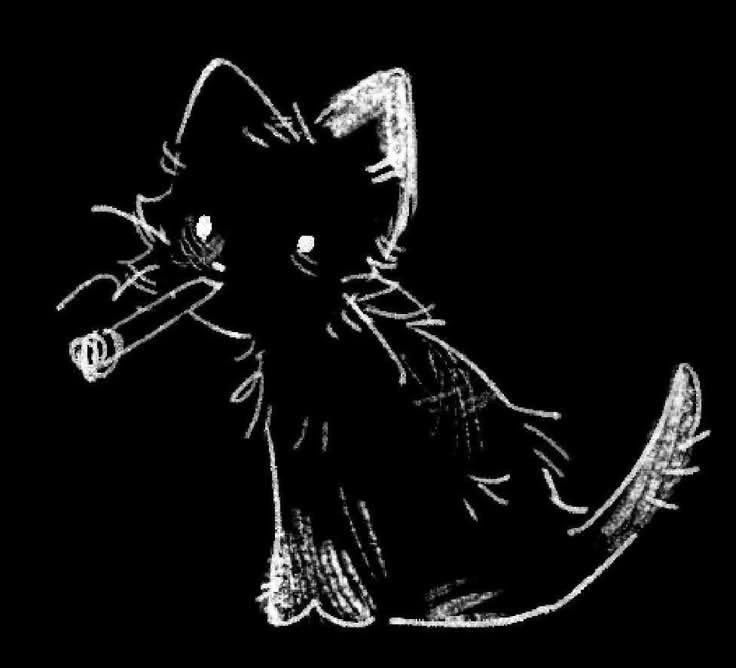 ᴘɪxɪᴇ 🐾⸝꙳.˖ tweet media