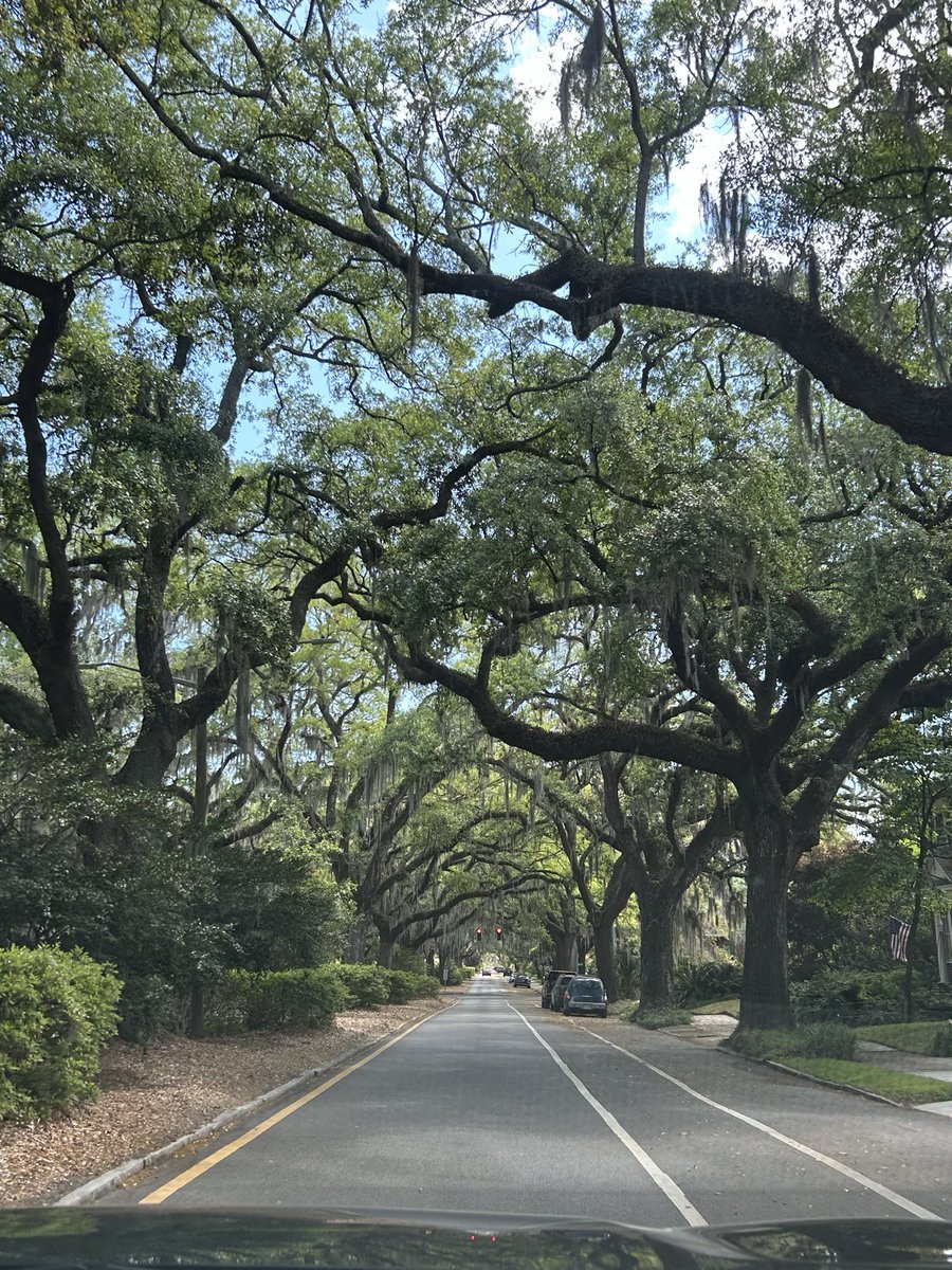 Aaron M. Renn 🇺🇸 tweet media