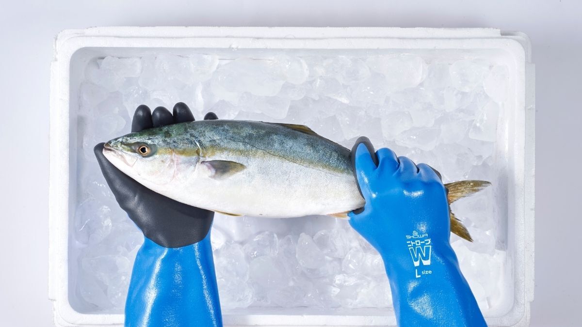 ショーワグローブ【公式】 tweet media