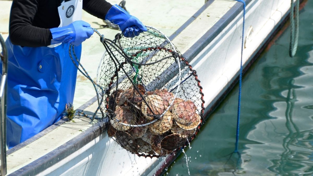 ショーワグローブ【公式】 tweet media