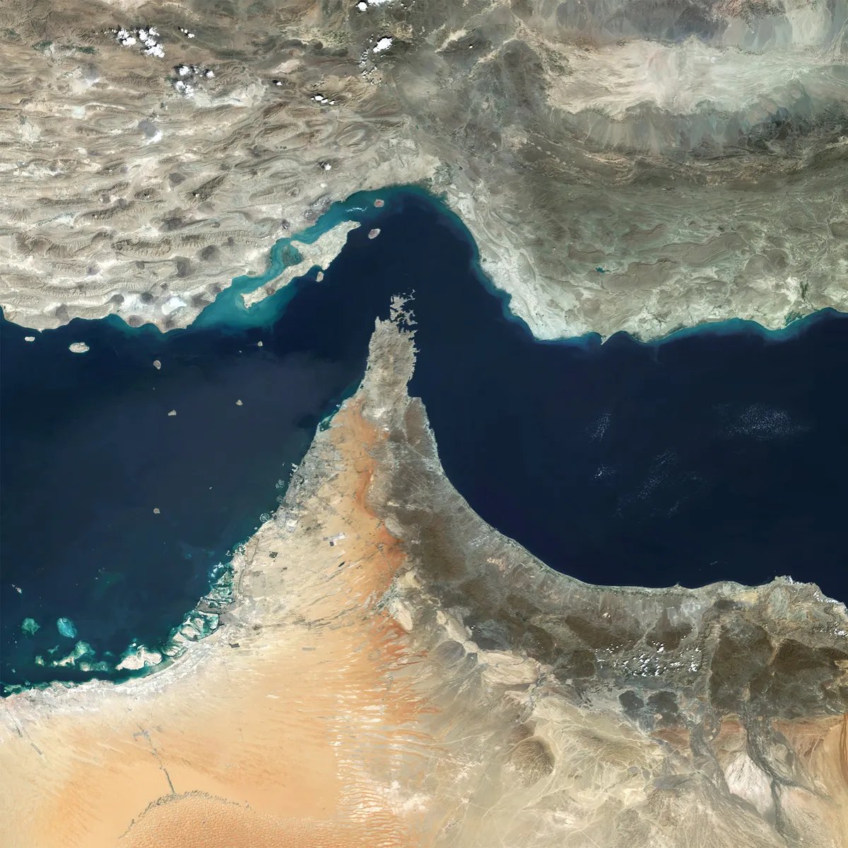 Jackson Hinkle 🇺🇸 tweet media